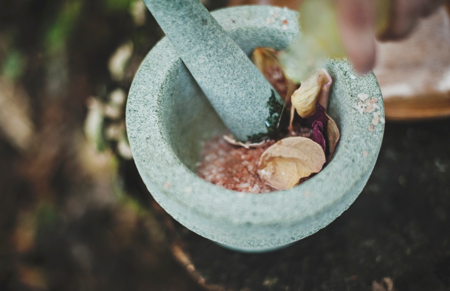 O impacto das plantas medicinais no equilíbrio emocional